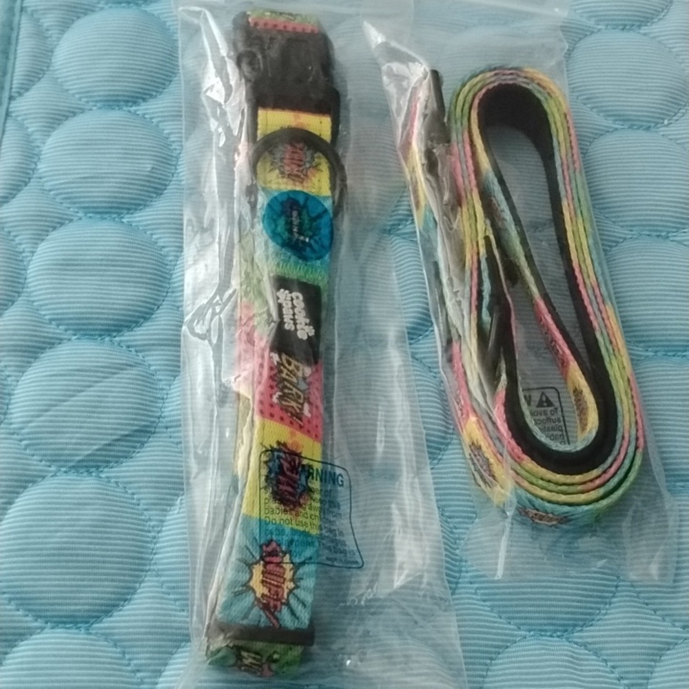 Vibrant Comic Print Dog Collar and Leash Set